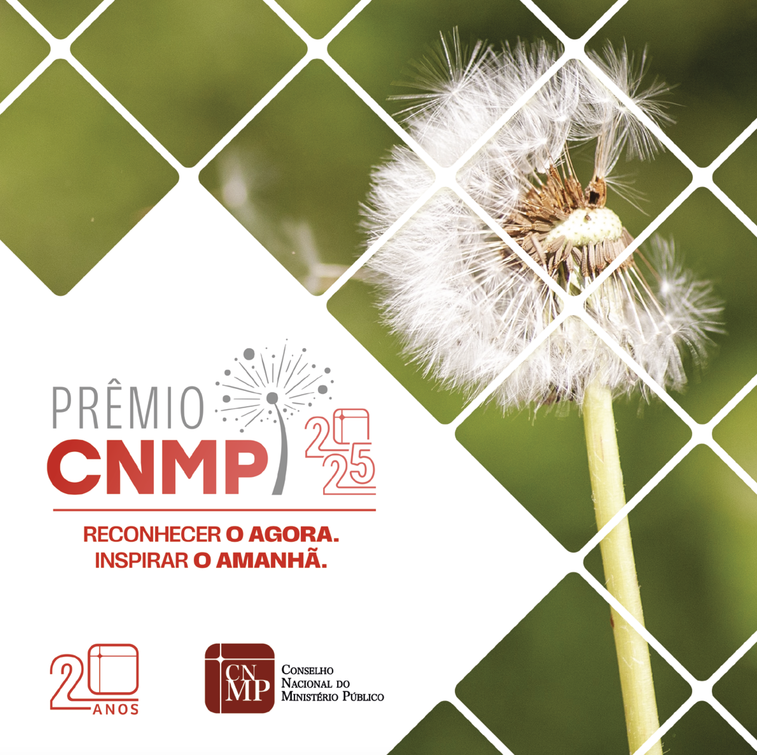 Finalistas Prêmio CNMP 2025