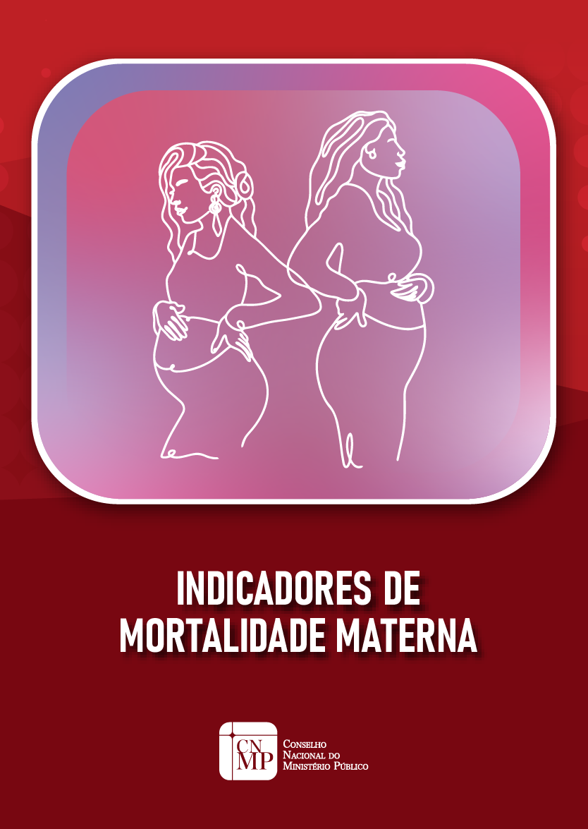 Indicadores de Mortalidade Materna