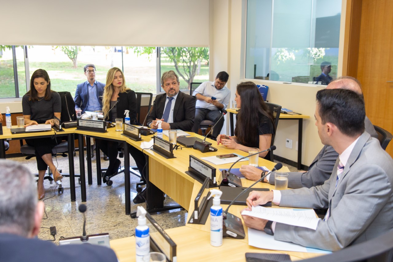 Comissão do Meio Ambiente do CNMP e Agência Nacional de Águas se reúnem para tratar de acordo de cooperação técnica