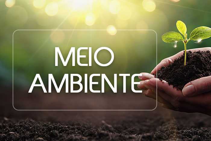 CNMP e Ibama firmam acordo que amplia o fluxo de informações entre as duas instituições e fortalece a atuação de defesa ambiental 