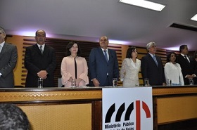 imagegoias paintpreview